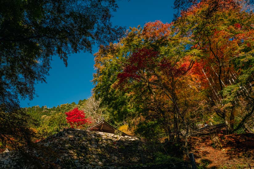 阿弥陀寺が見えてくる