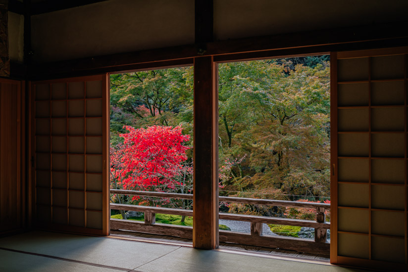 本堂内から眺める前庭の紅葉