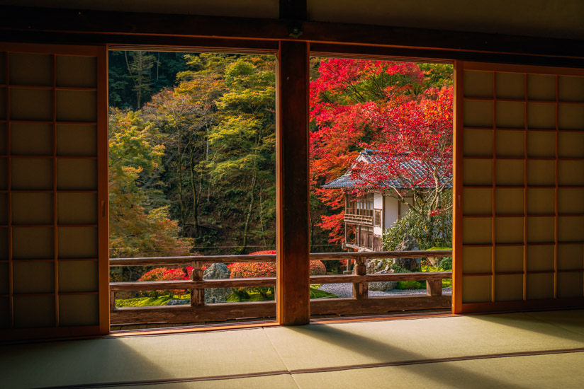 本堂内から眺める前庭の紅葉