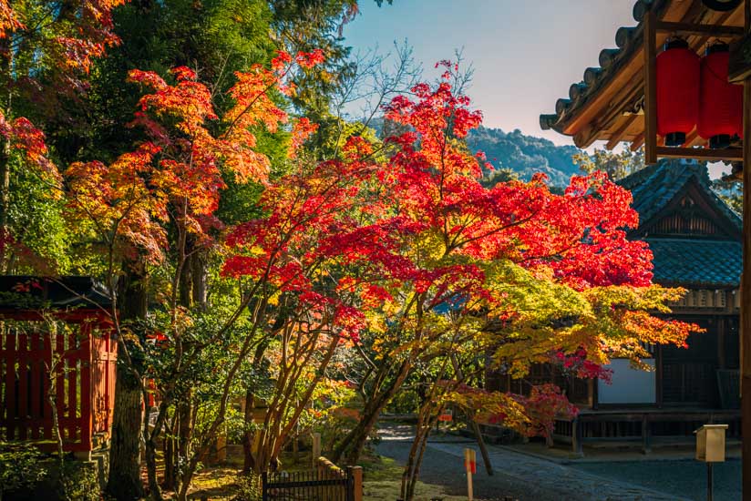 地蔵堂の周りの紅葉