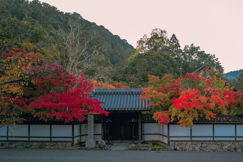 天授庵