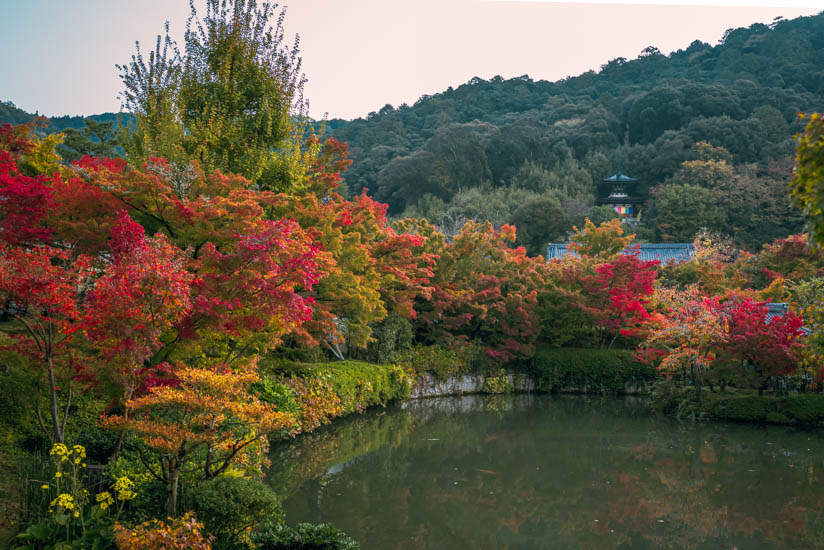 池と多宝塔